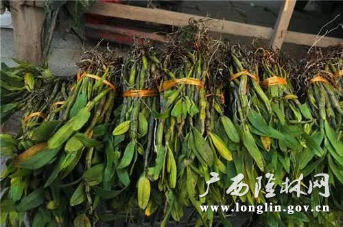 十大网赌平台推荐