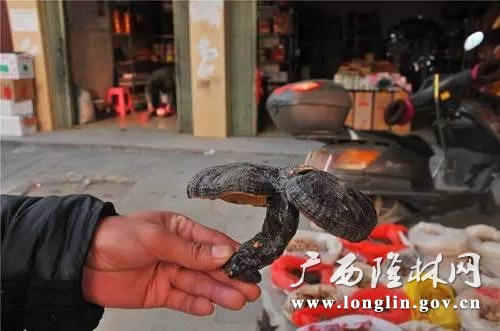 十大网赌平台推荐