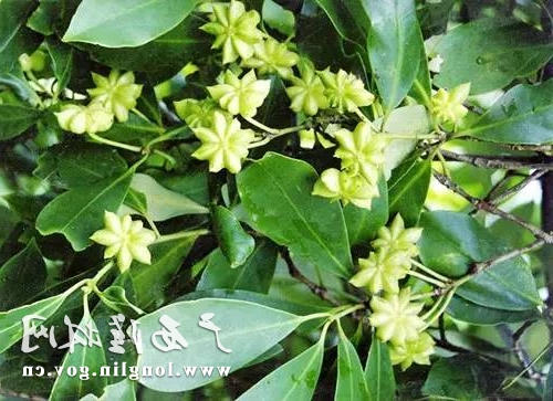 十大网赌平台推荐