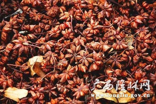 十大网赌平台推荐