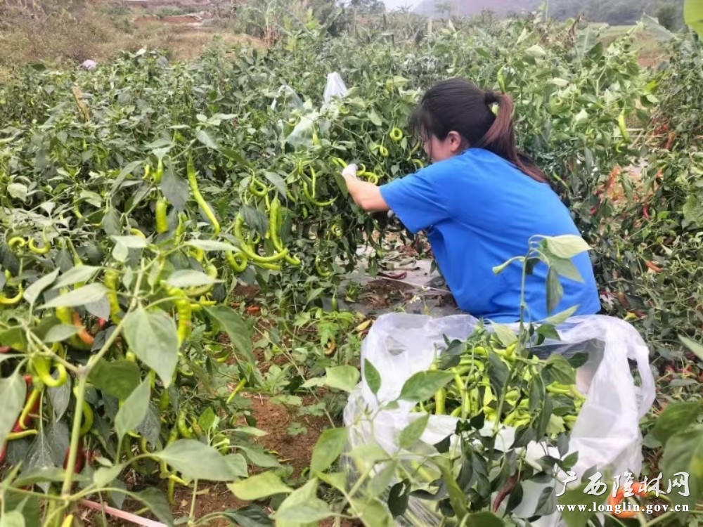 十大网赌平台推荐