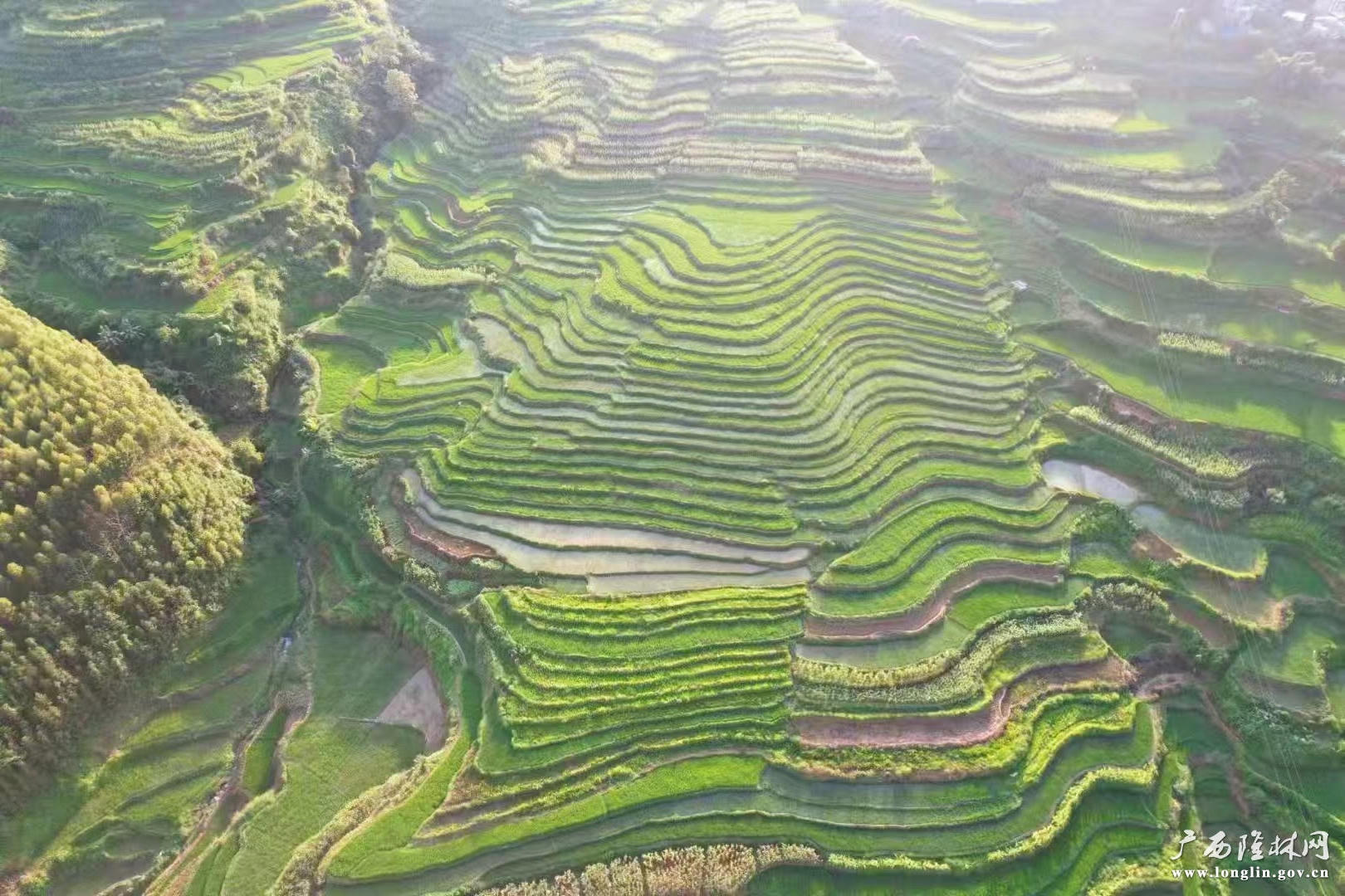 微信图片_20240715163601 十大网赌平台推荐