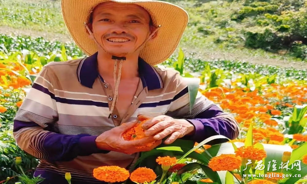 十大网赌平台推荐