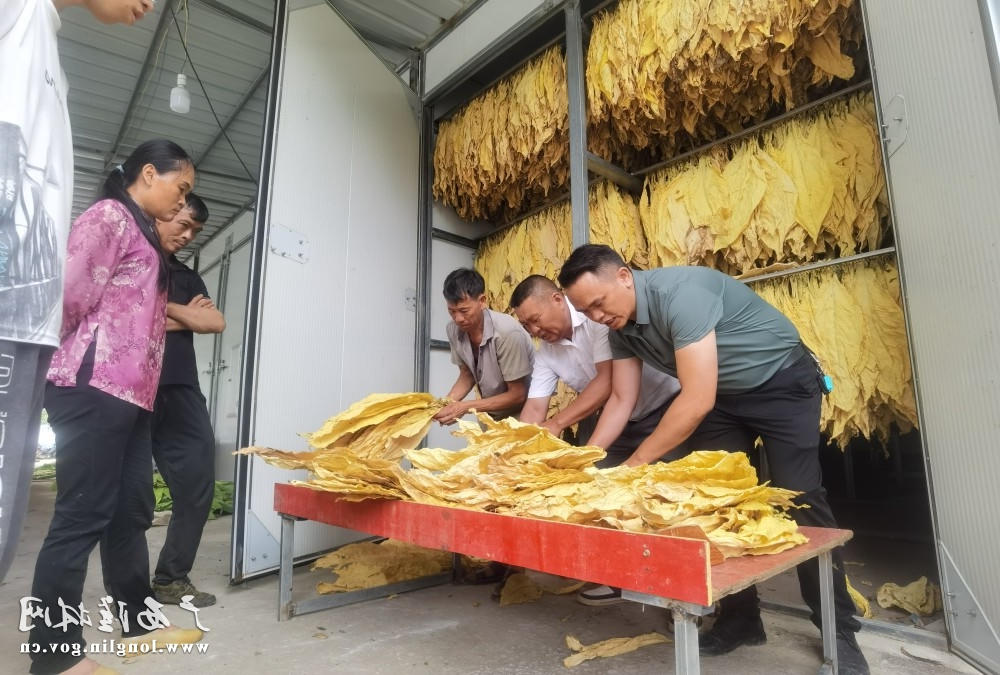 十大网赌平台推荐