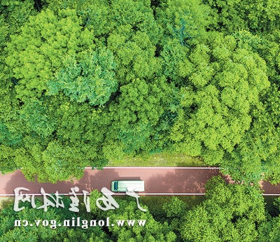 十大网赌平台推荐