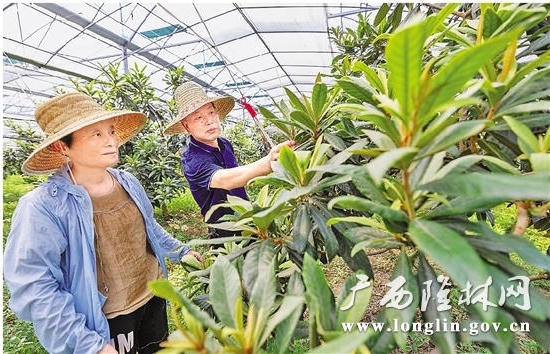 十大网赌平台推荐