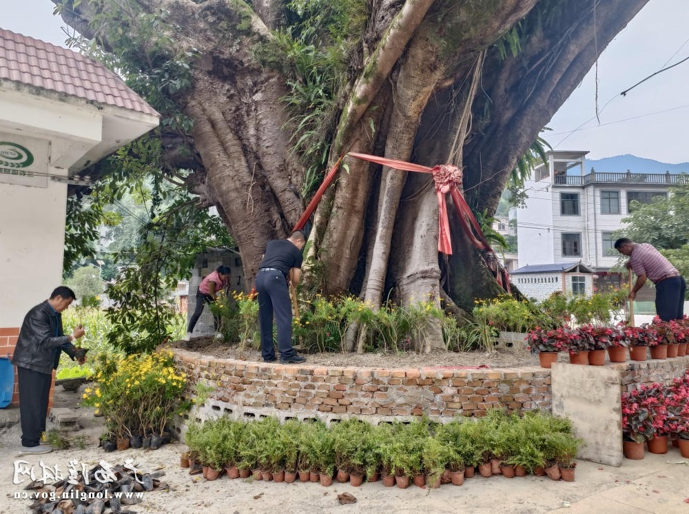 十大网赌平台推荐