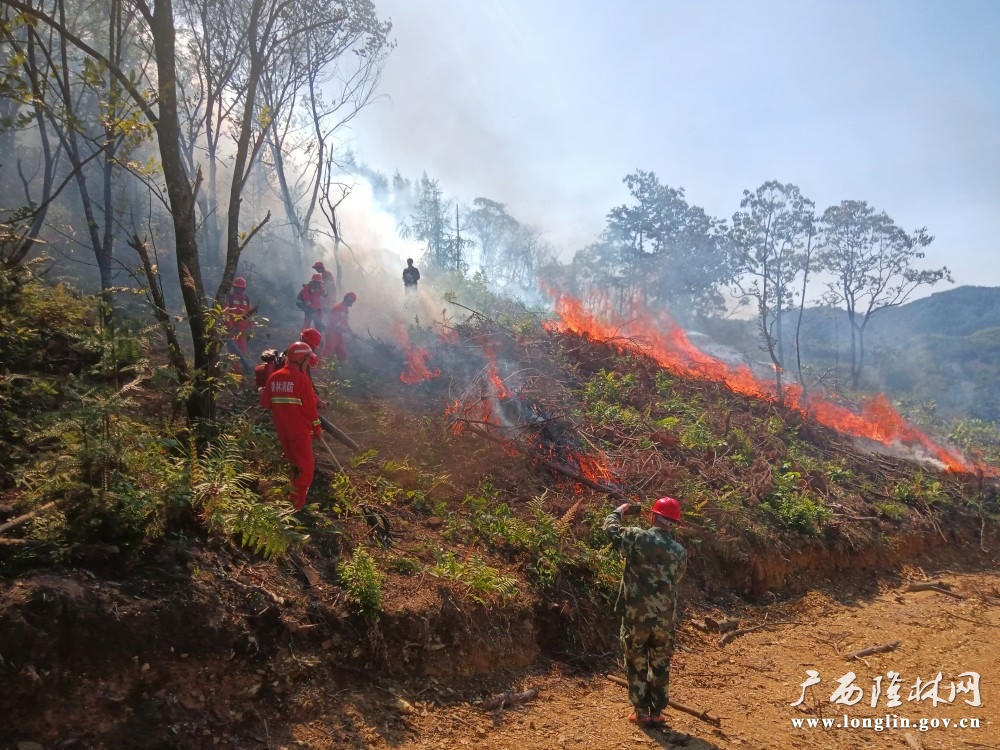 十大网赌平台推荐