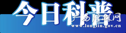 十大网赌平台推荐