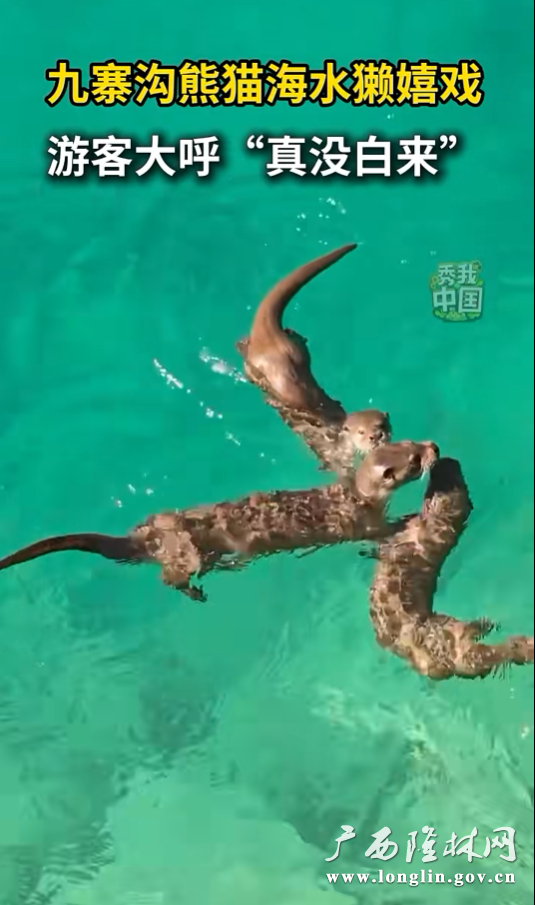 十大网赌平台推荐