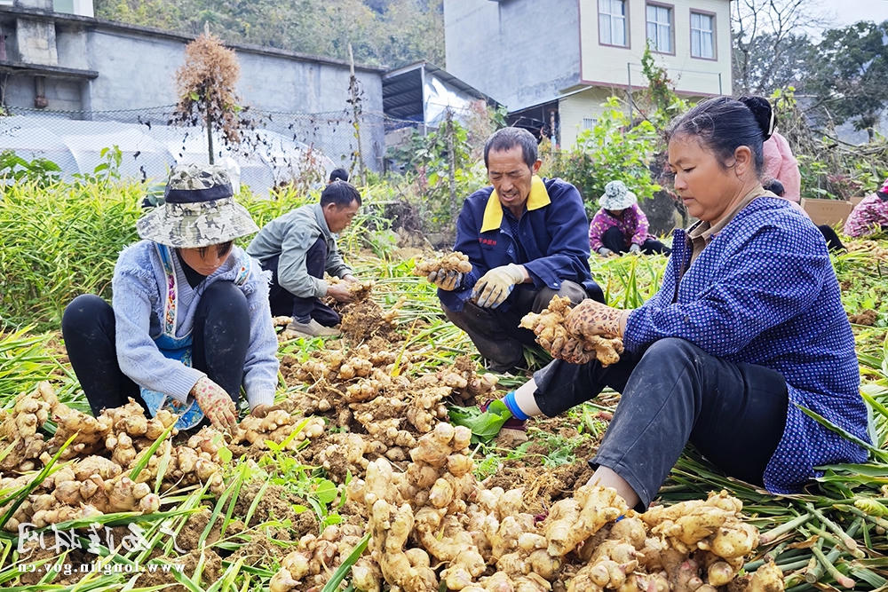 十大网赌平台推荐