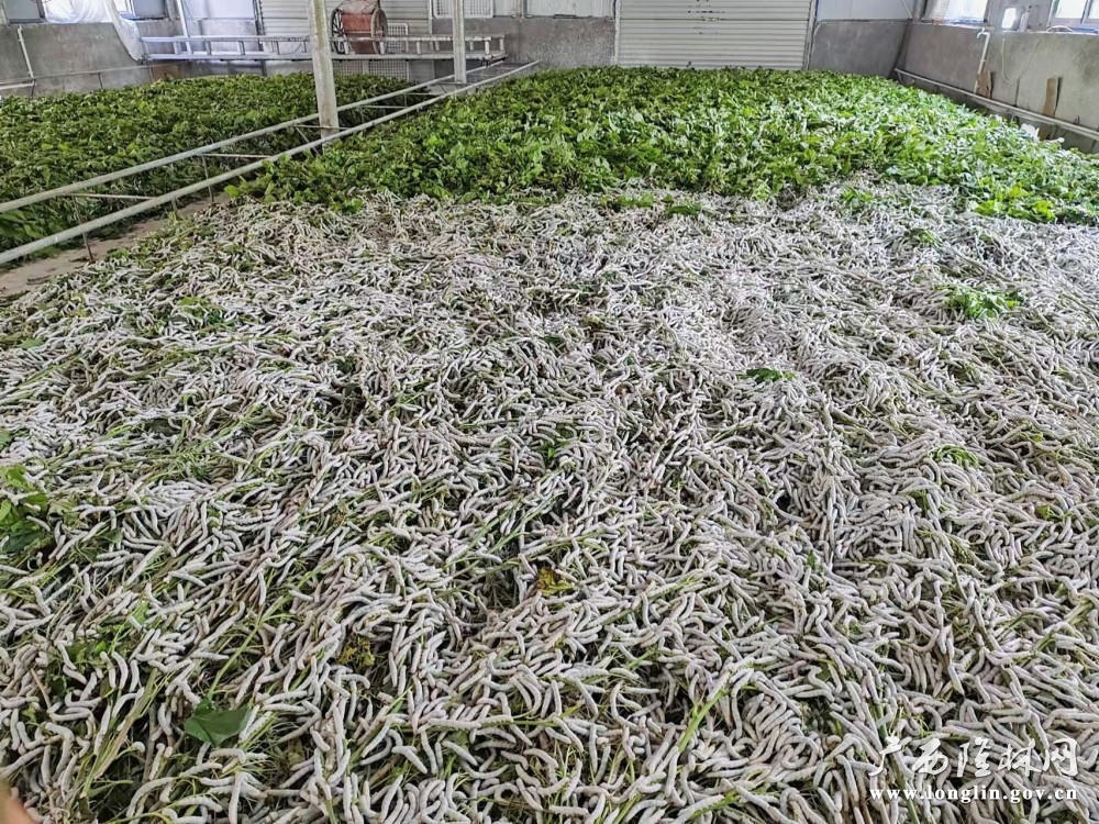 十大网赌平台推荐