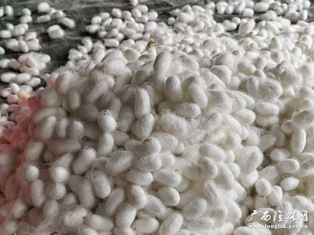 十大网赌平台推荐