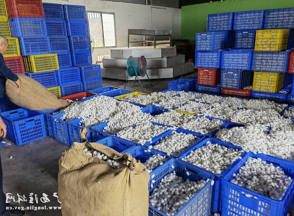 十大网赌平台推荐