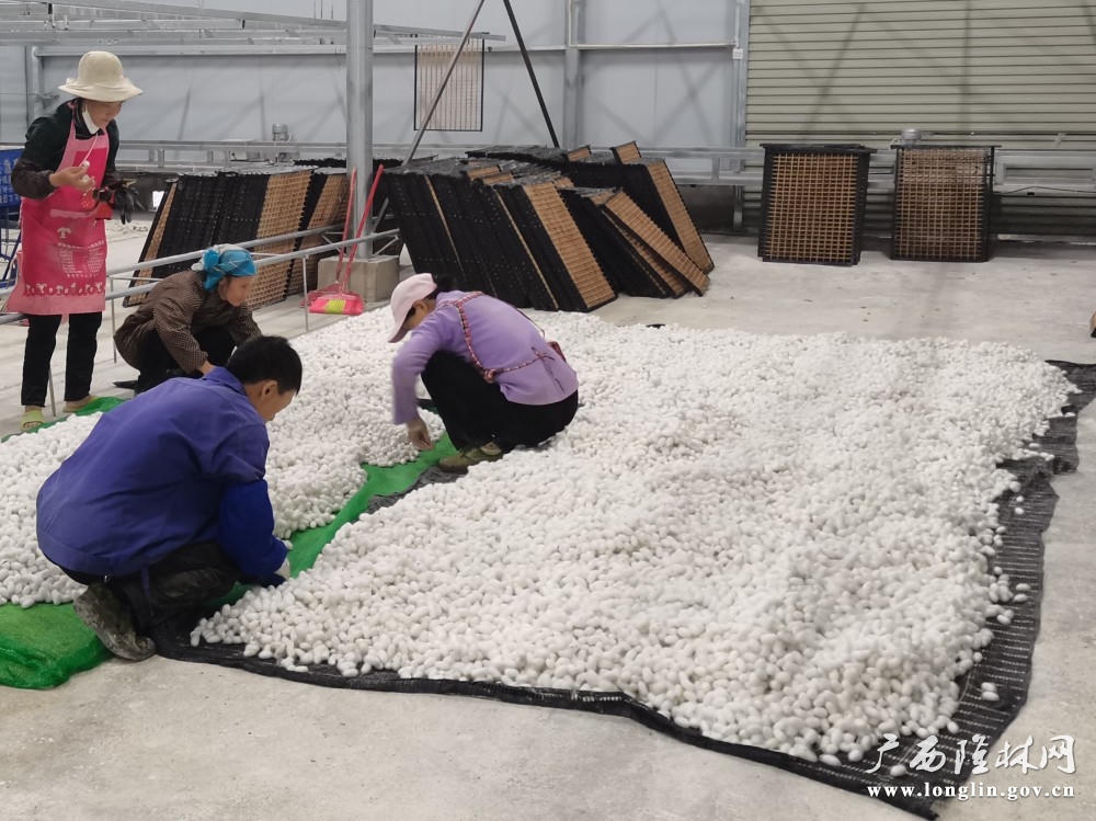 十大网赌平台推荐
