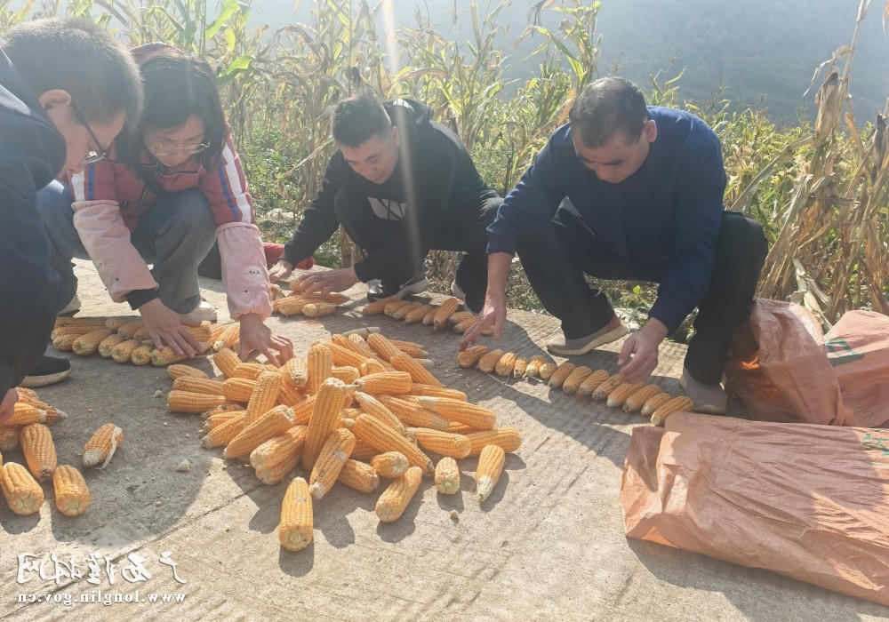 十大网赌平台推荐