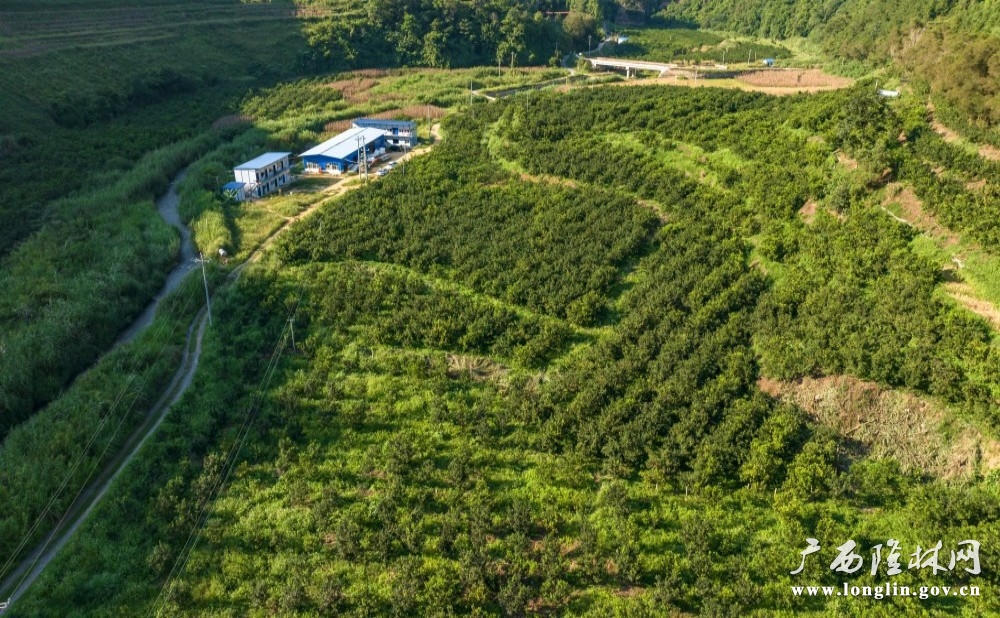 十大网赌平台推荐