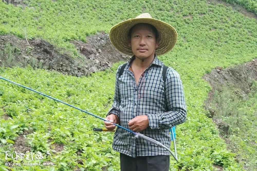 十大网赌平台推荐