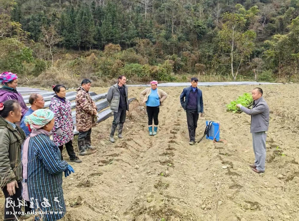 十大网赌平台推荐