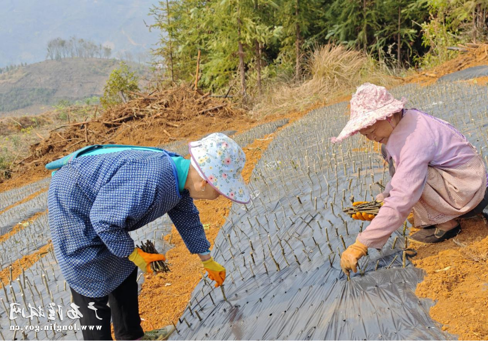 十大网赌平台推荐