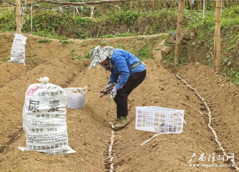 十大网赌平台推荐