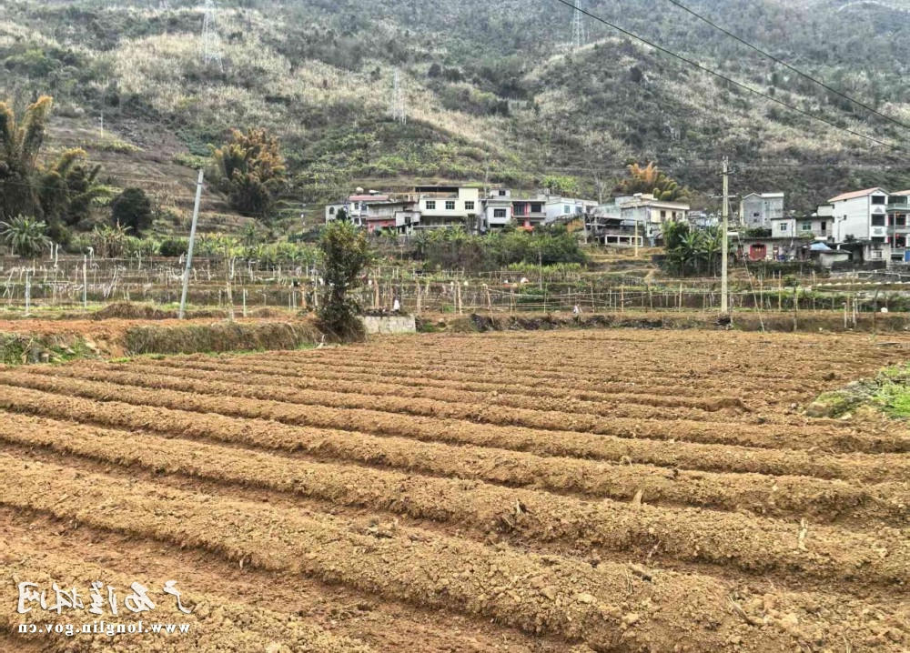 十大网赌平台推荐