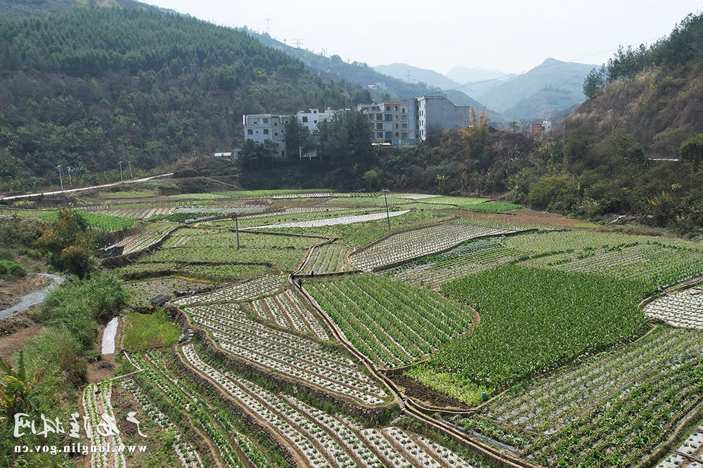 十大网赌平台推荐