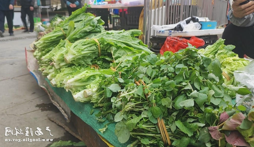 十大网赌平台推荐