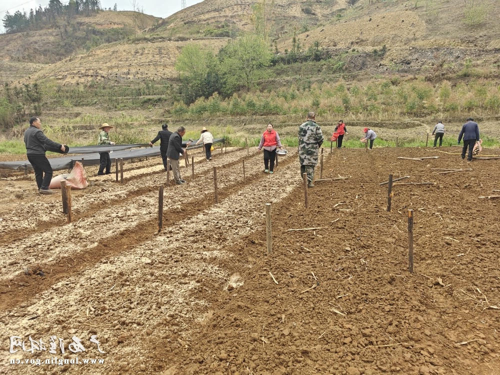 十大网赌平台推荐