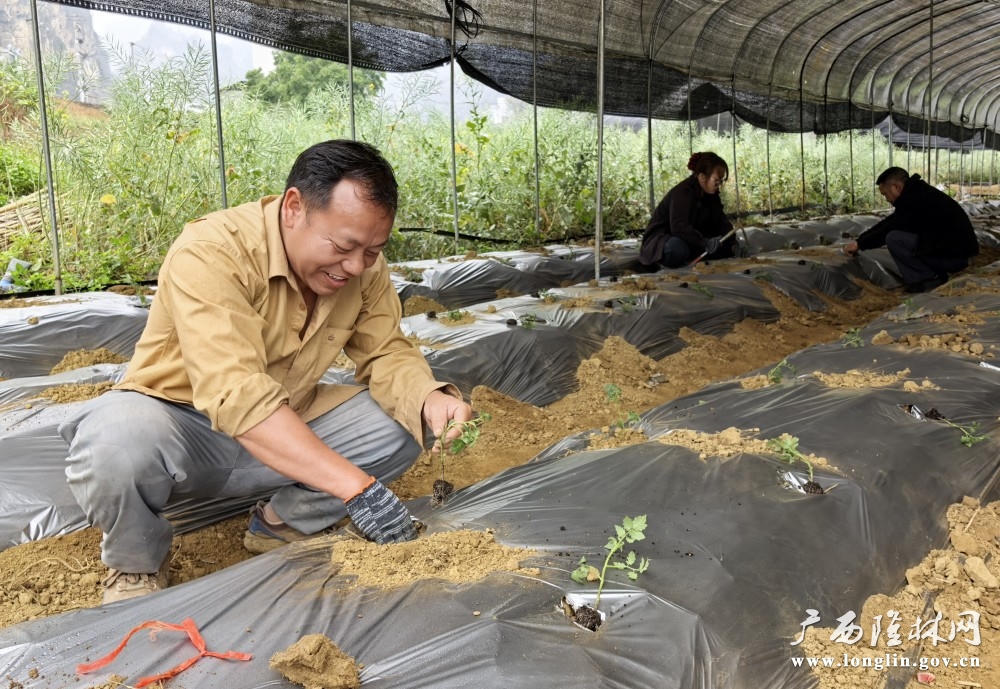 十大网赌平台推荐