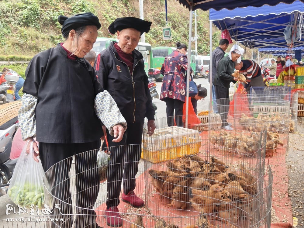 十大网赌平台推荐