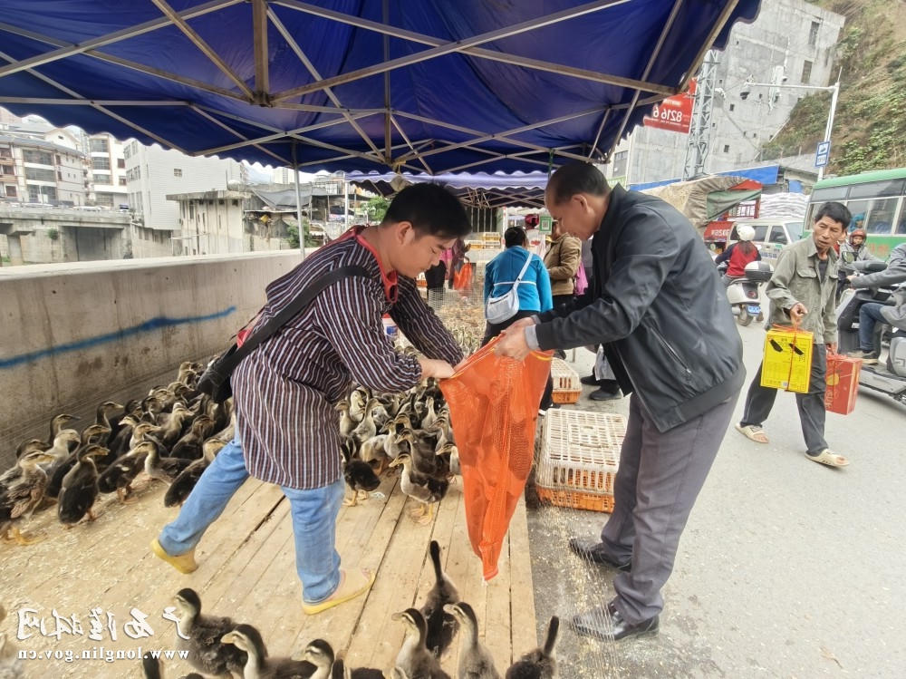 十大网赌平台推荐