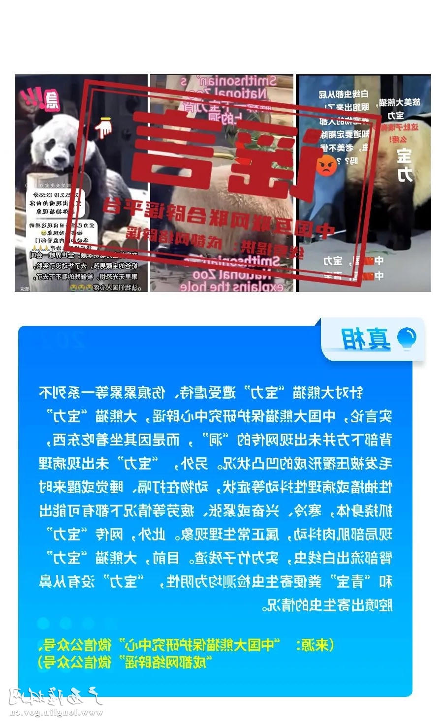 十大网赌平台推荐
