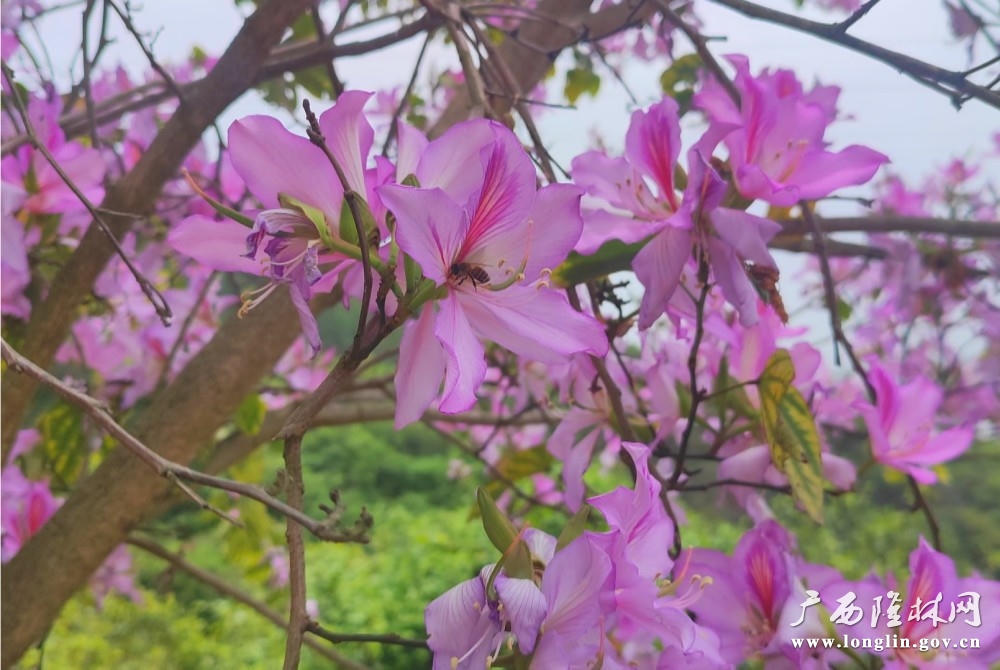 十大网赌平台推荐