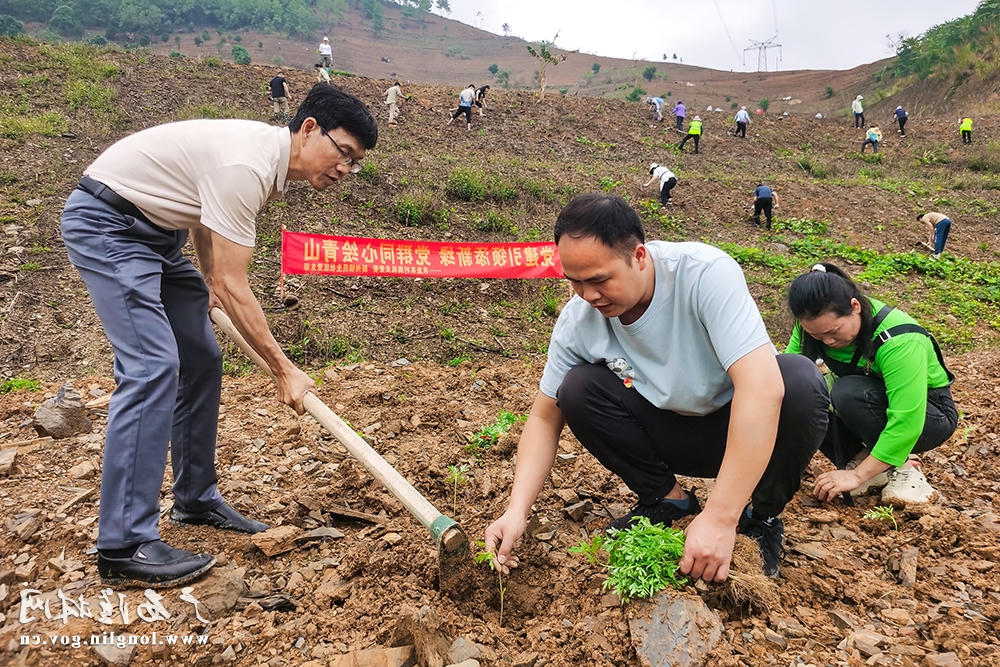 十大网赌平台推荐