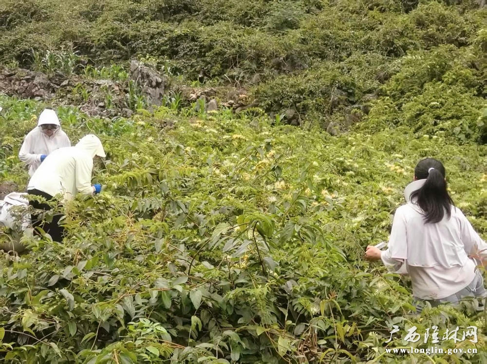 十大网赌平台推荐