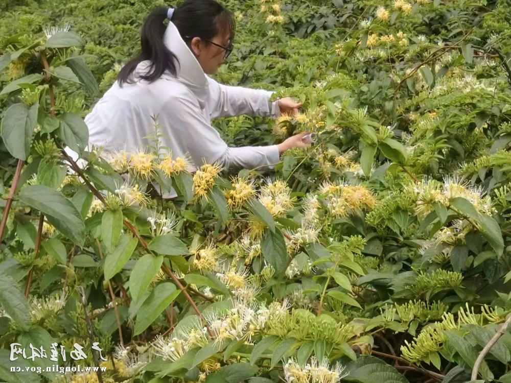 十大网赌平台推荐