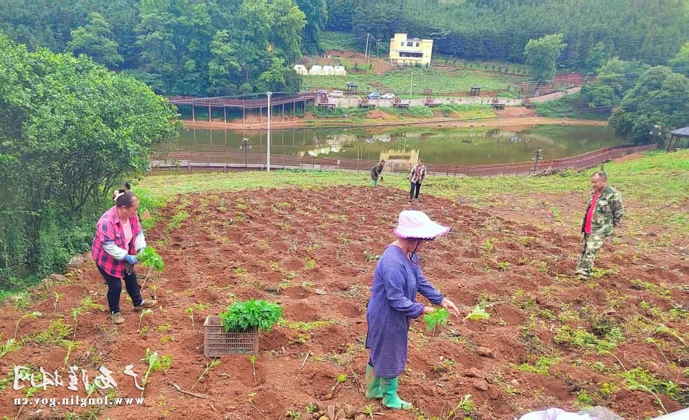 十大网赌平台推荐