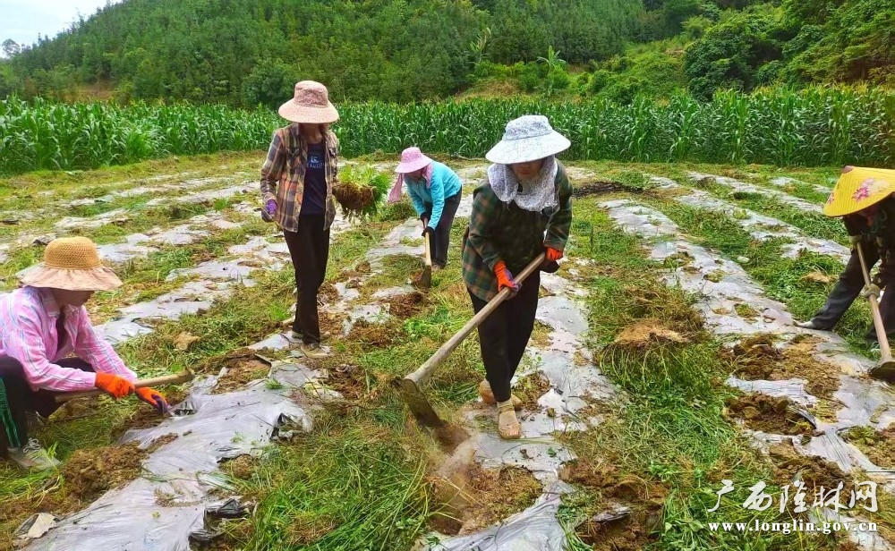 十大网赌平台推荐