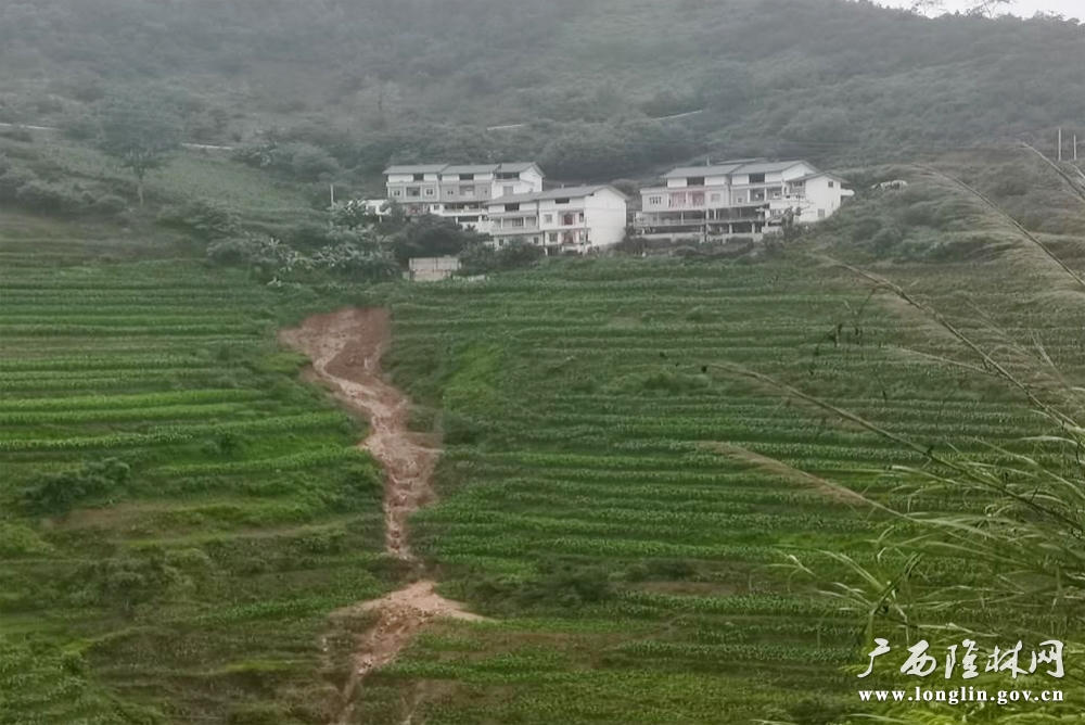 十大网赌平台推荐