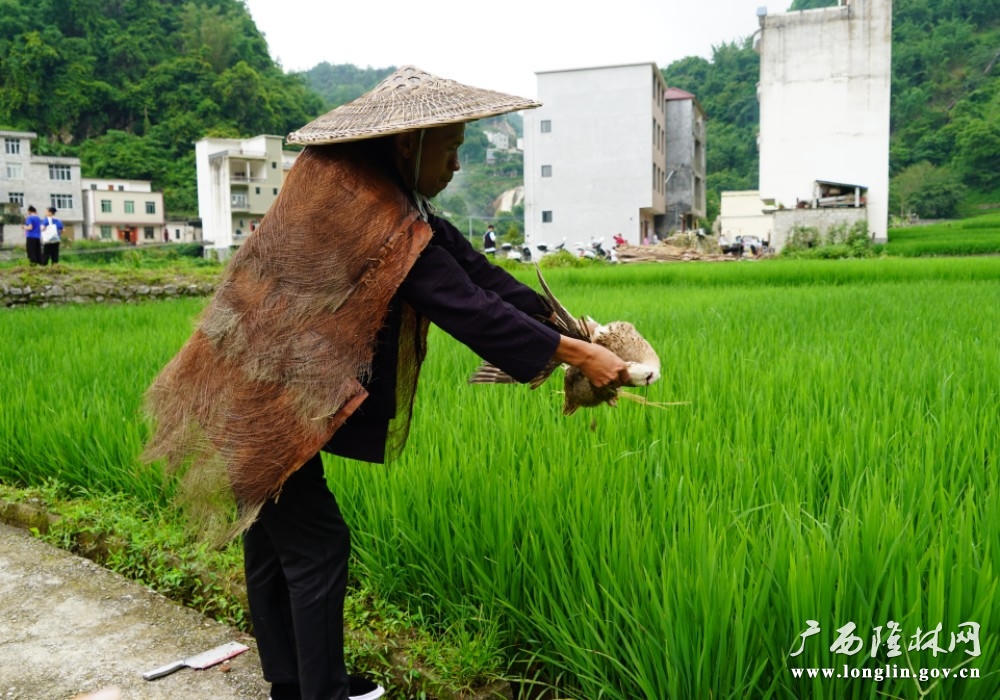 十大网赌平台推荐