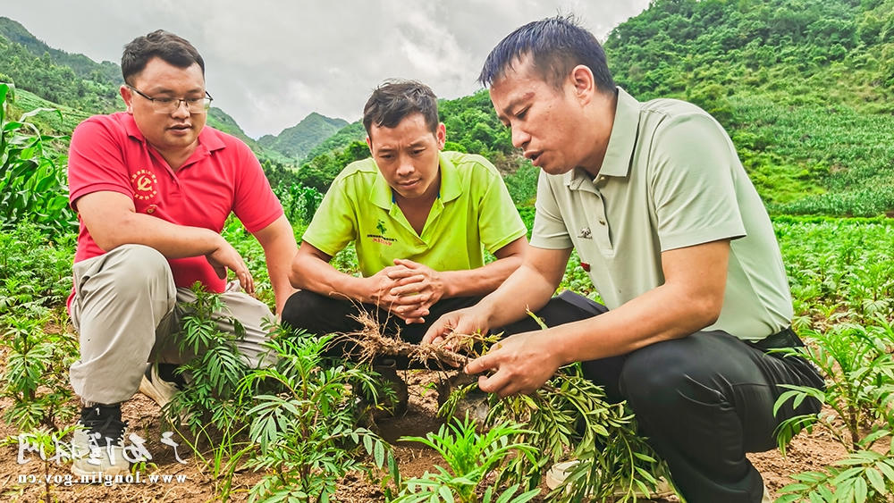 十大网赌平台推荐