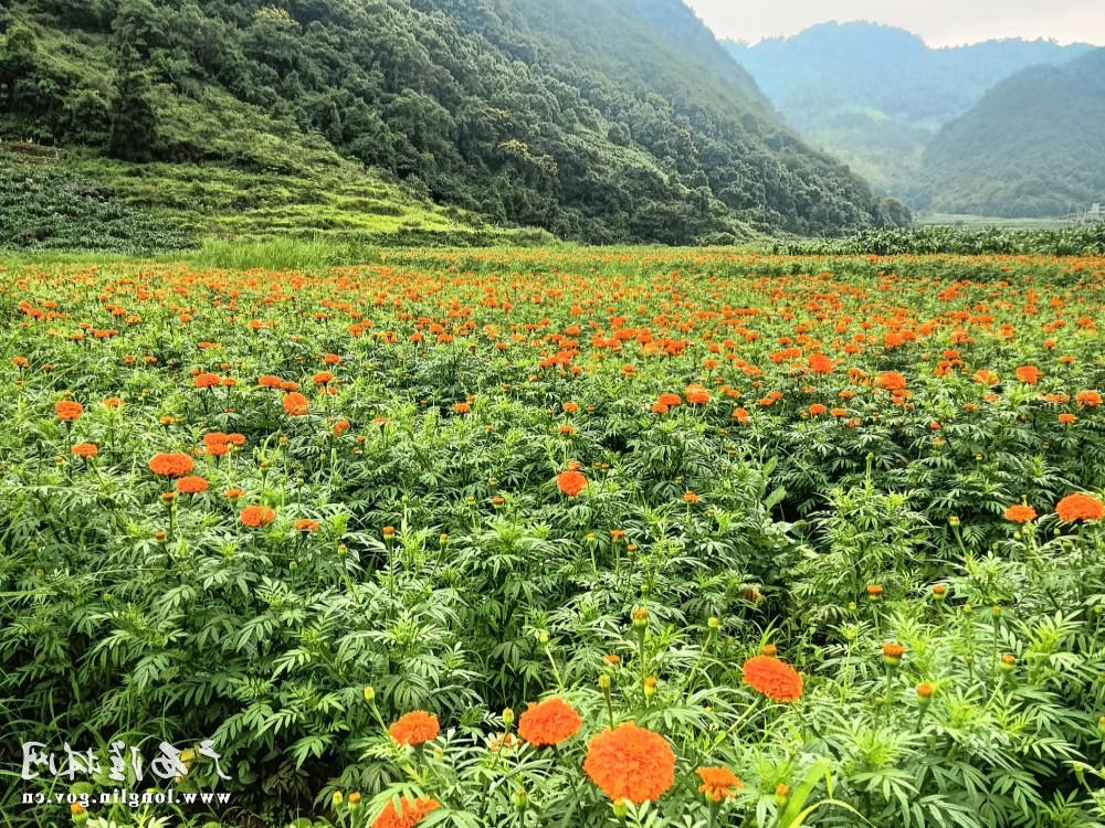 十大网赌平台推荐
