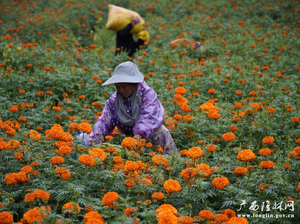 十大网赌平台推荐