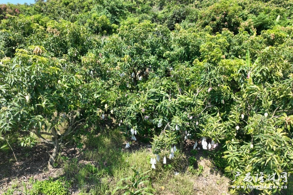 十大网赌平台推荐