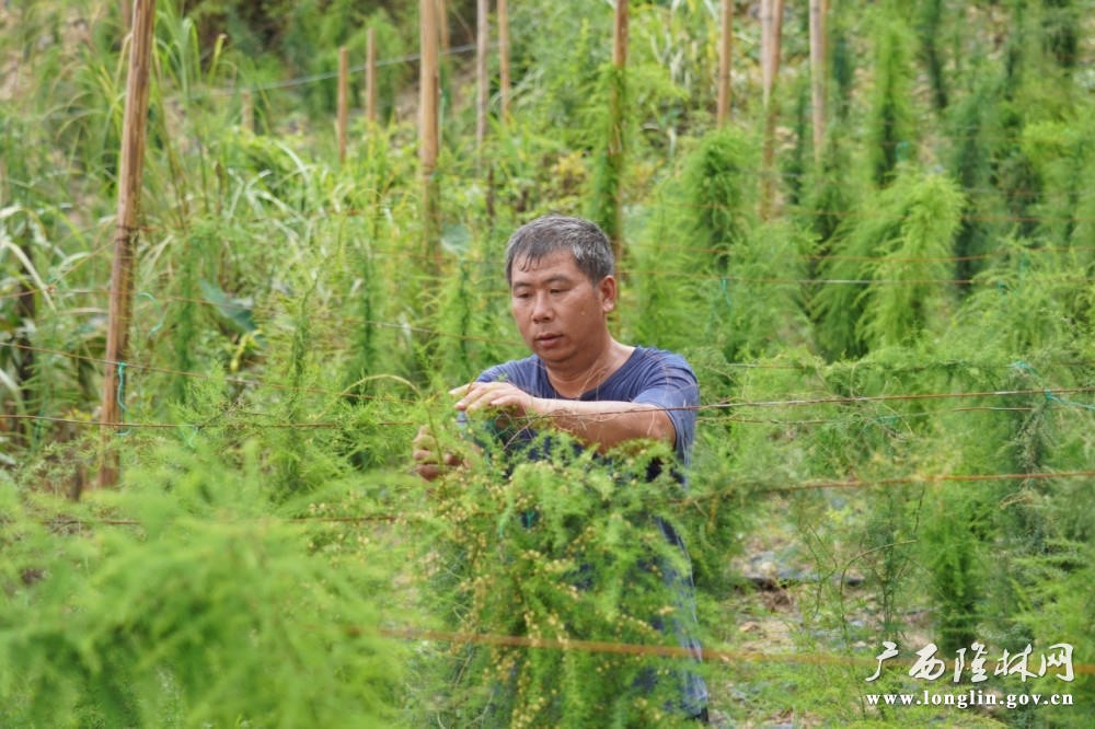 十大网赌平台推荐