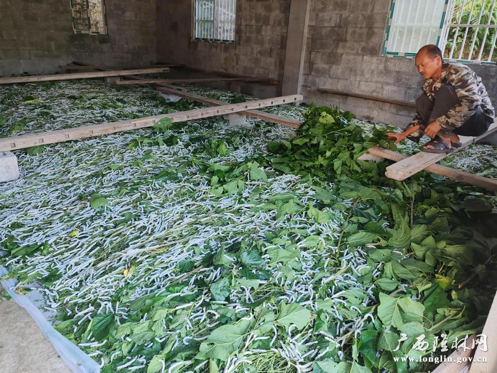 十大网赌平台推荐