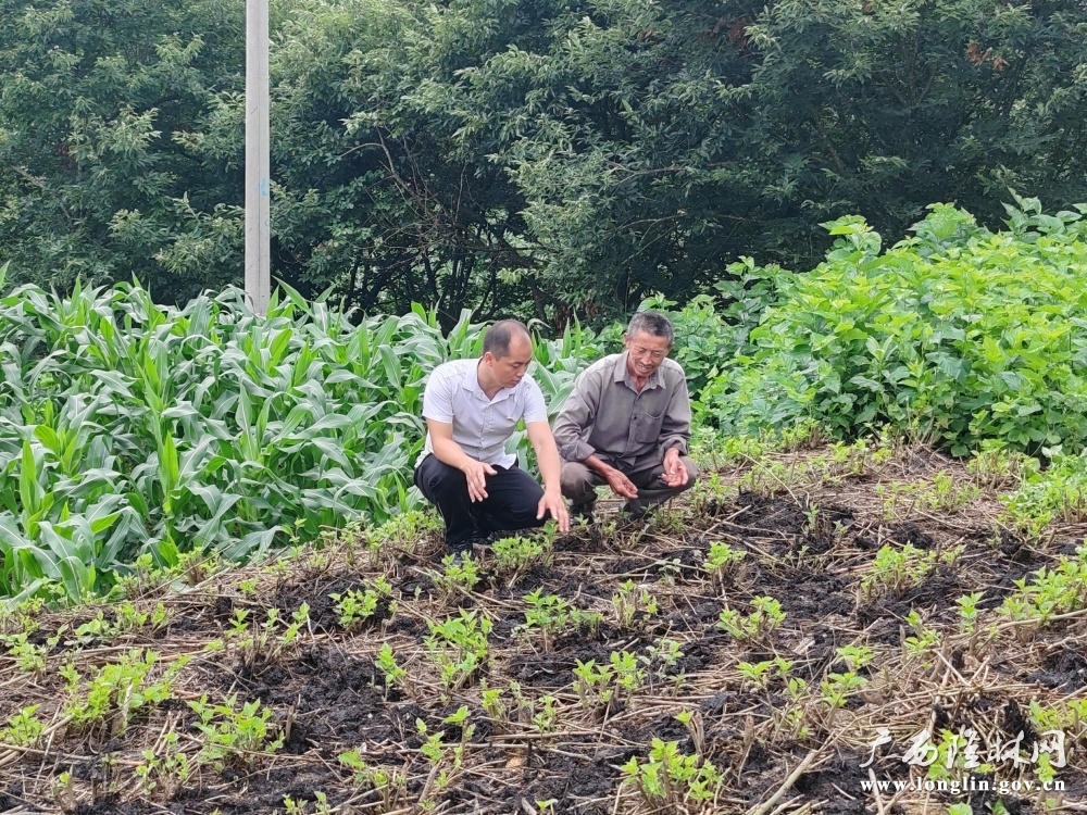 十大网赌平台推荐