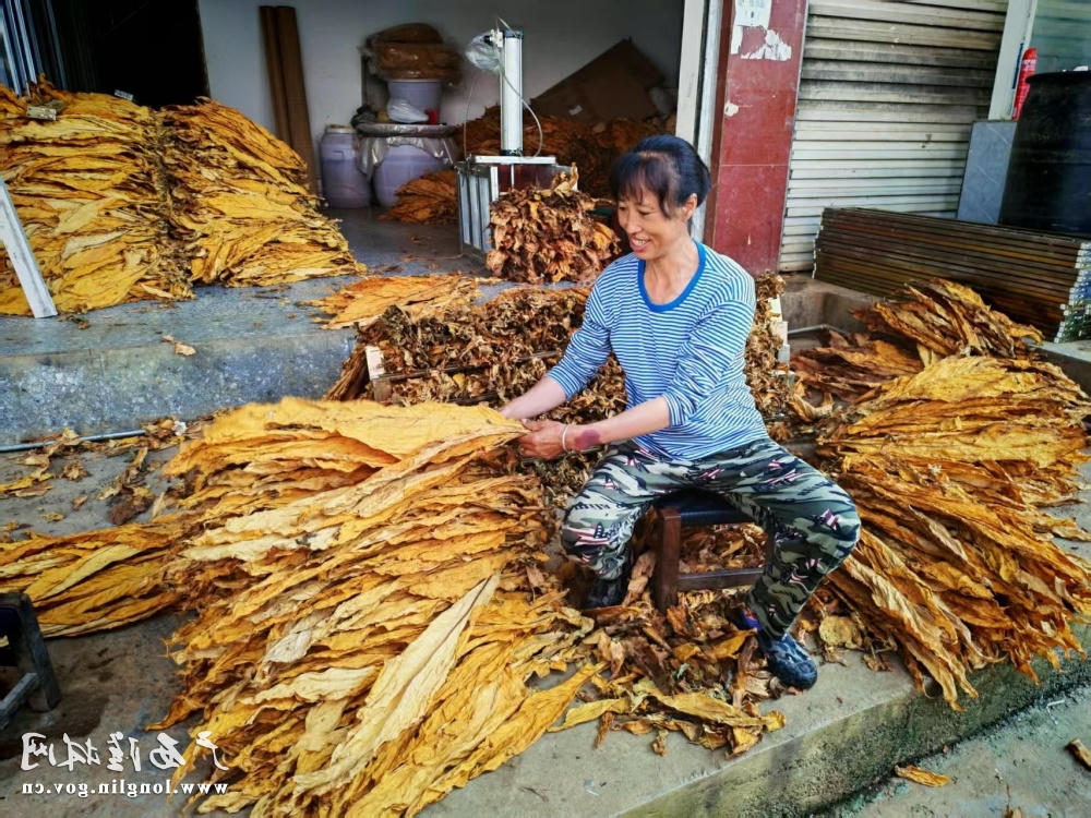 十大网赌平台推荐