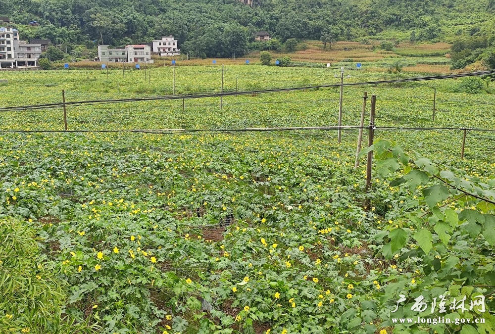 十大网赌平台推荐